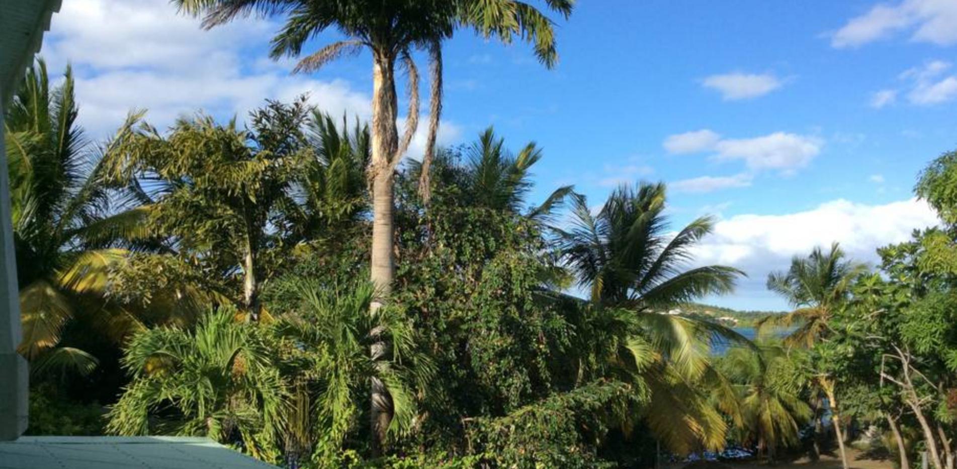 Chez Tatie Francine - Location de gîte verdoyant au coeur de la Martinique