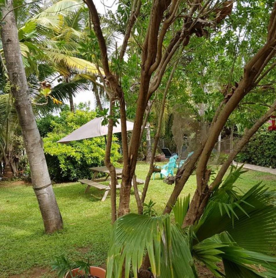 Chez Tatie Francine - Location de gîte verdoyant et proche de la mer en Martinique / Le François
